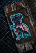 V1 patch & slap